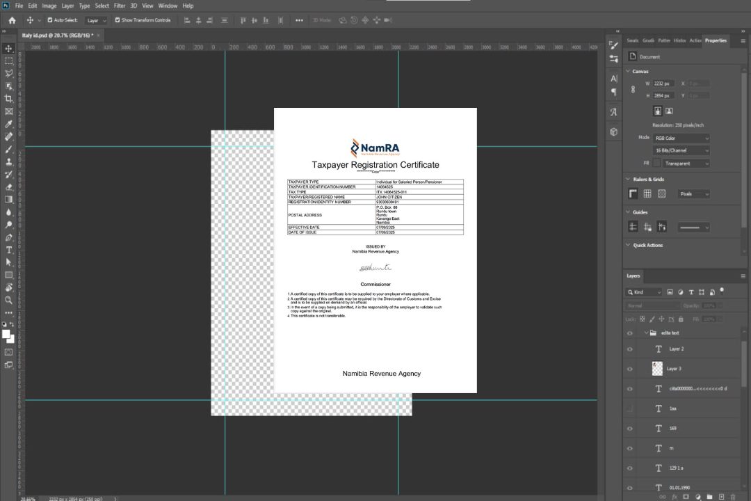 Modèle Word et PDF de certificat d'enregistrement des contribuables en Namibie template